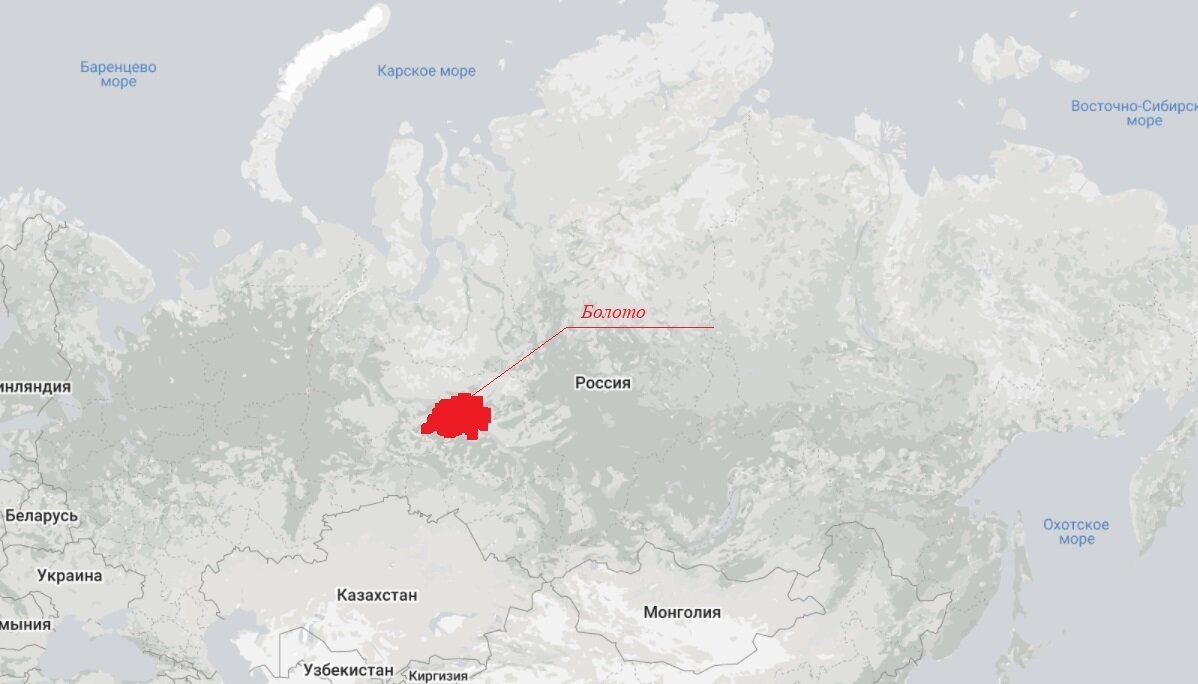 Здесь находится самое гигантское болото на планете