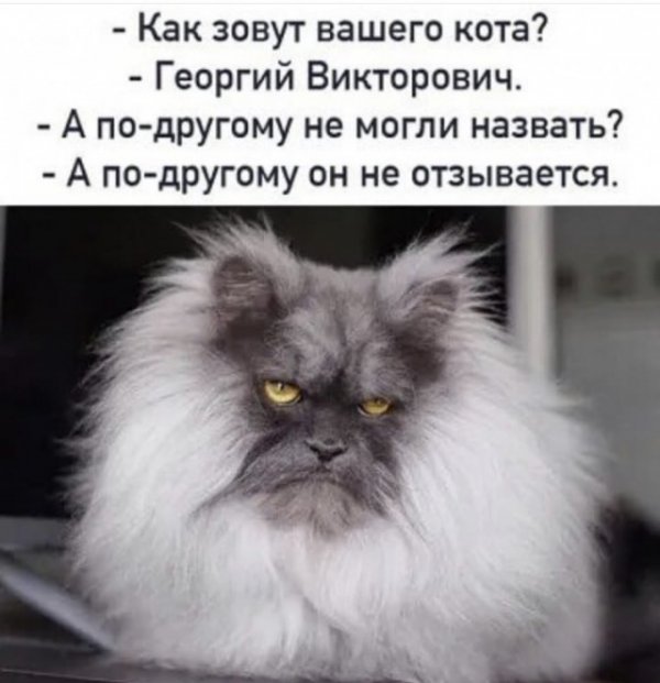 Баянисто-небаянистый юмор