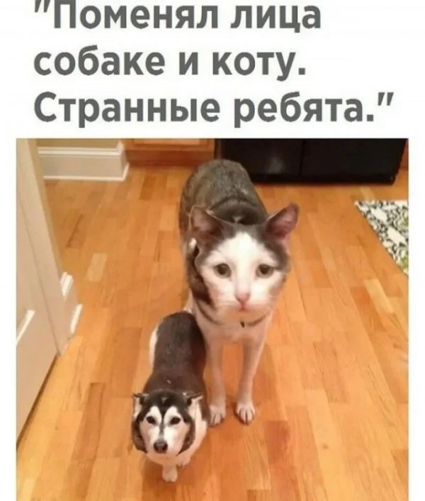 Баянисто-небаянистый юмор