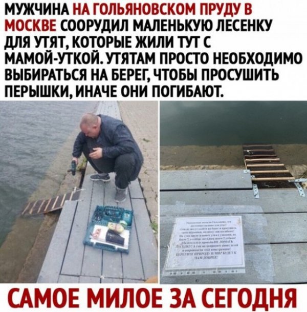 Баянисто-небаянистый юмор