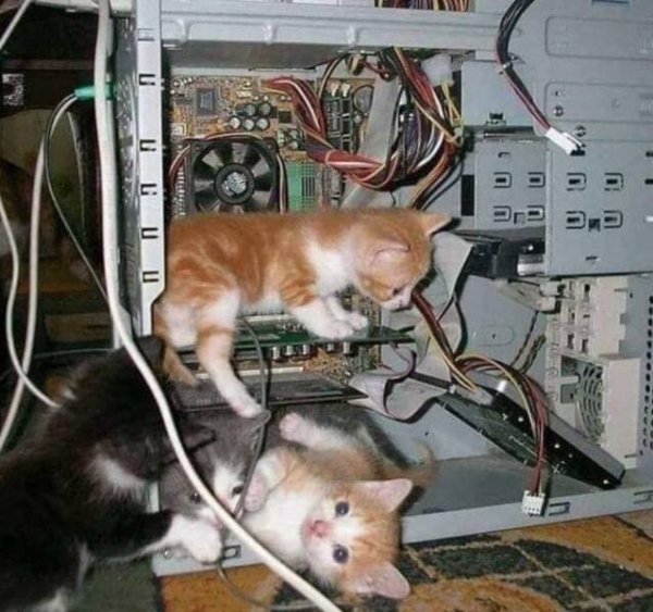 Баянисто-небаянистый юмор