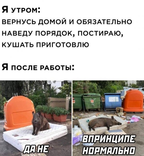 Баянисто-небаянистый юмор