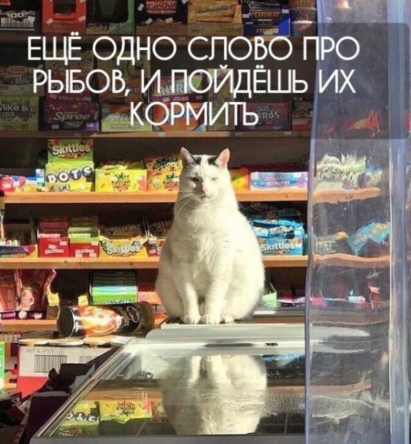 Баянисто-небаянистый юмор