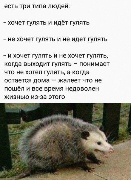 Баянисто-небаянистый юмор