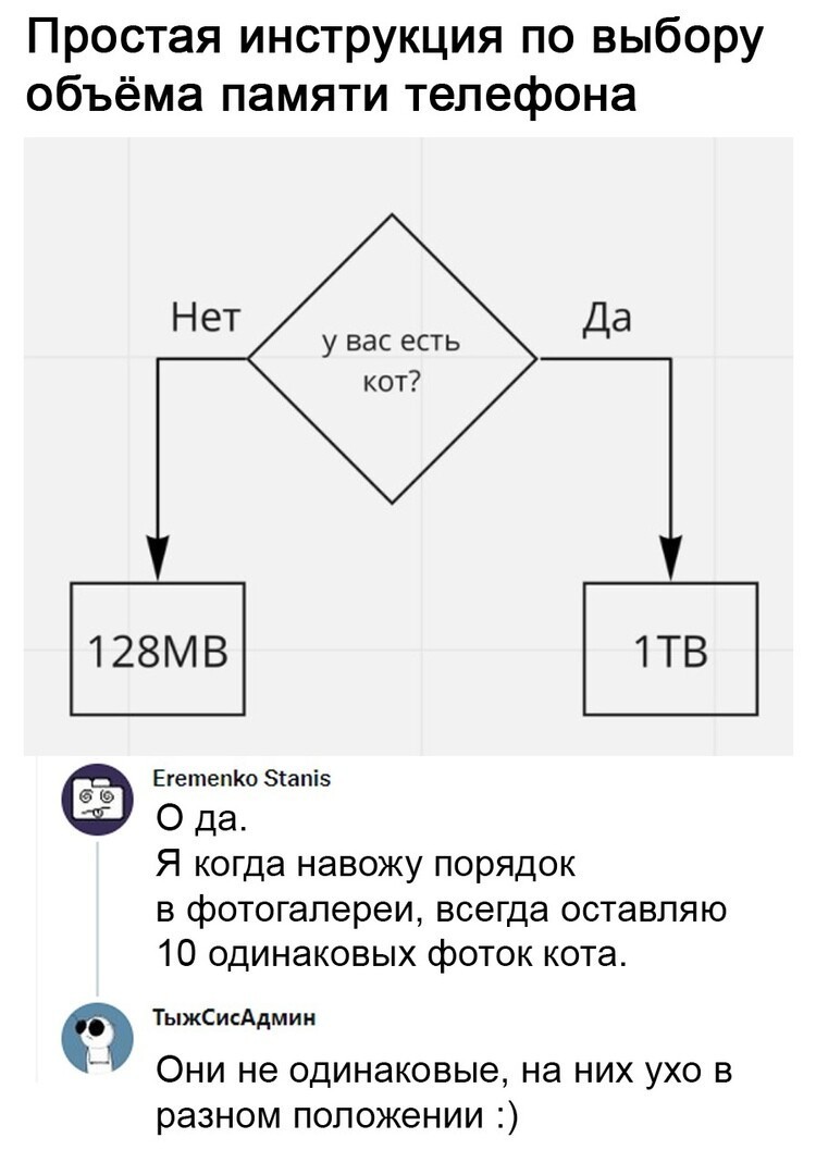 Котики - это святое Котики - это святое