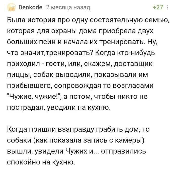 К этому их жизнь не готовила: неожиданные ситуации, в которых сложно не растеряться