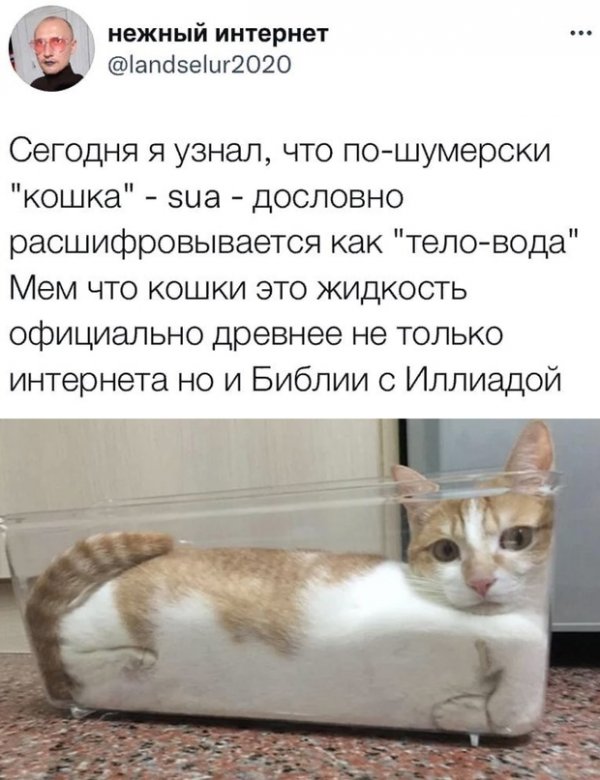 Картинки и мемы для настроения