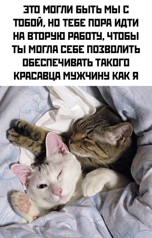 Картинки и мемы для настроения