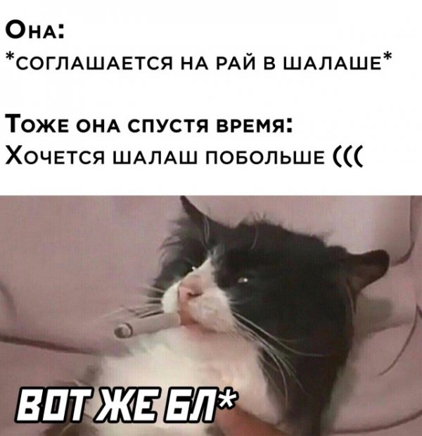 Картинки и мемы для настроения