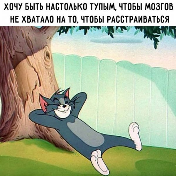 Картинки и мемы для настроения