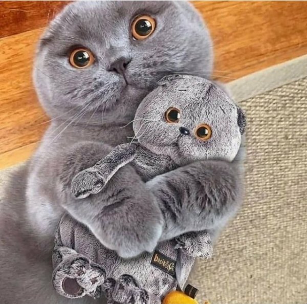 Прикольные и просто красивые картинки