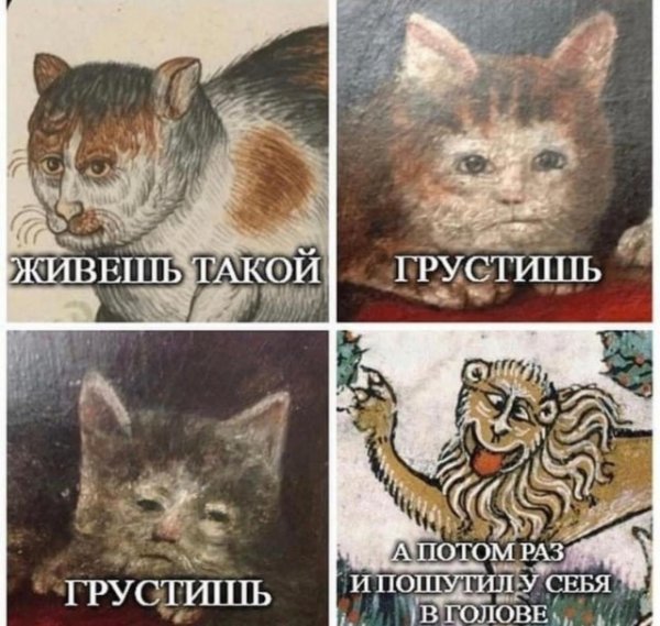 Прикольные и просто красивые картинки