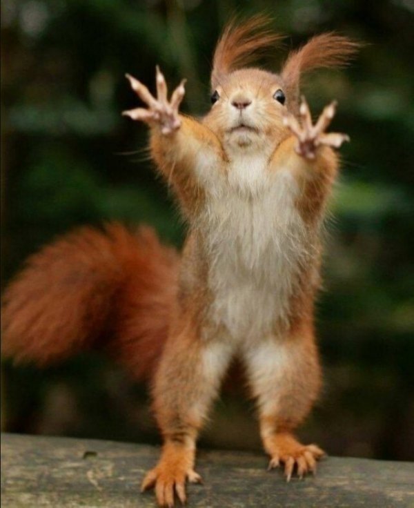 Прикольные и просто красивые картинки