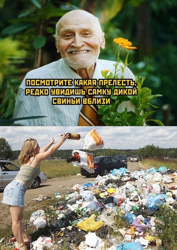 Прикольные и просто красивые картинки