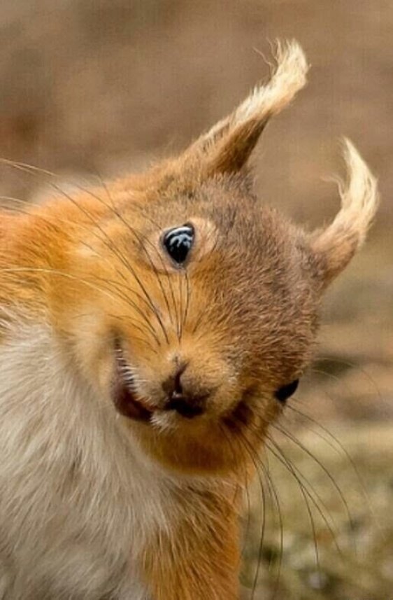 Прикольные и просто красивые картинки