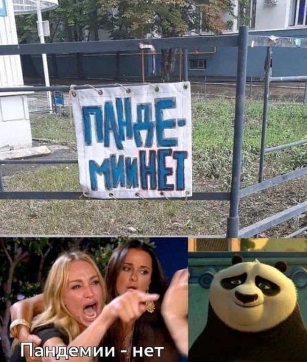 Прикольные и просто красивые картинки