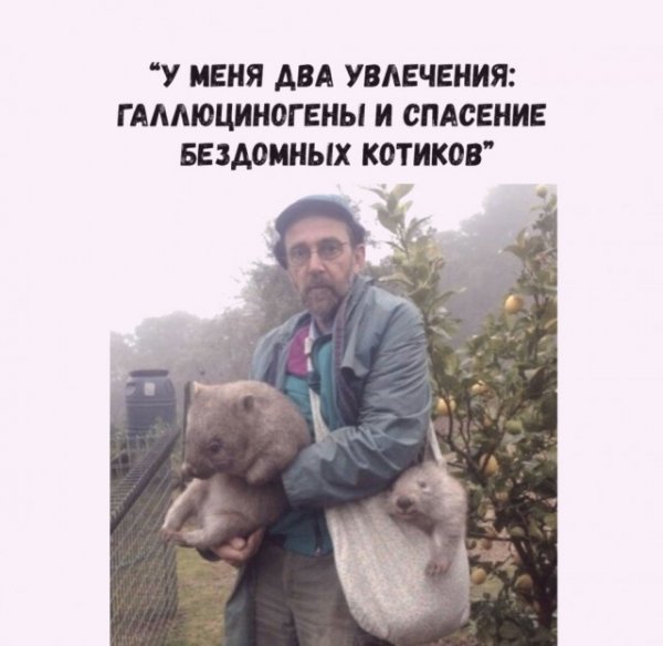 Прикольные и просто красивые картинки