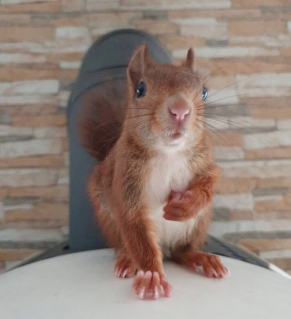 Прикольные и просто красивые картинки