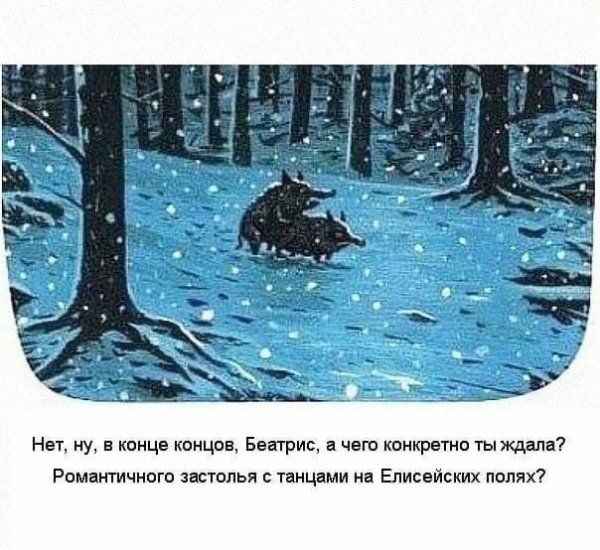 Прикольные и просто красивые картинки