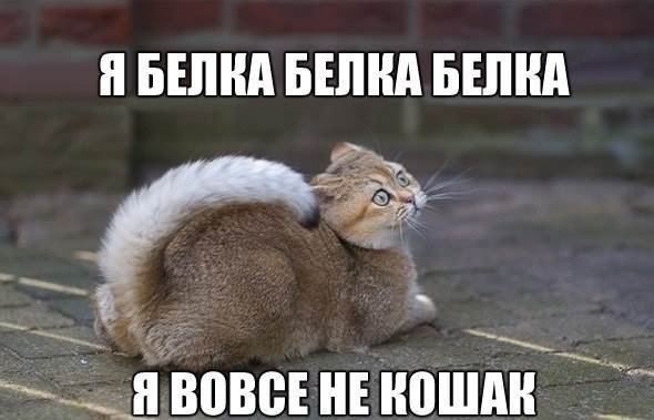 Прикольные и просто красивые картинки