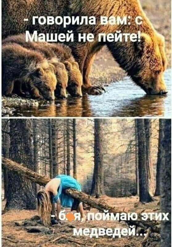 Прикольные и просто красивые картинки