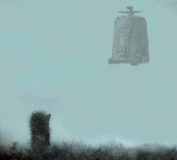 Прикольные и просто красивые картинки