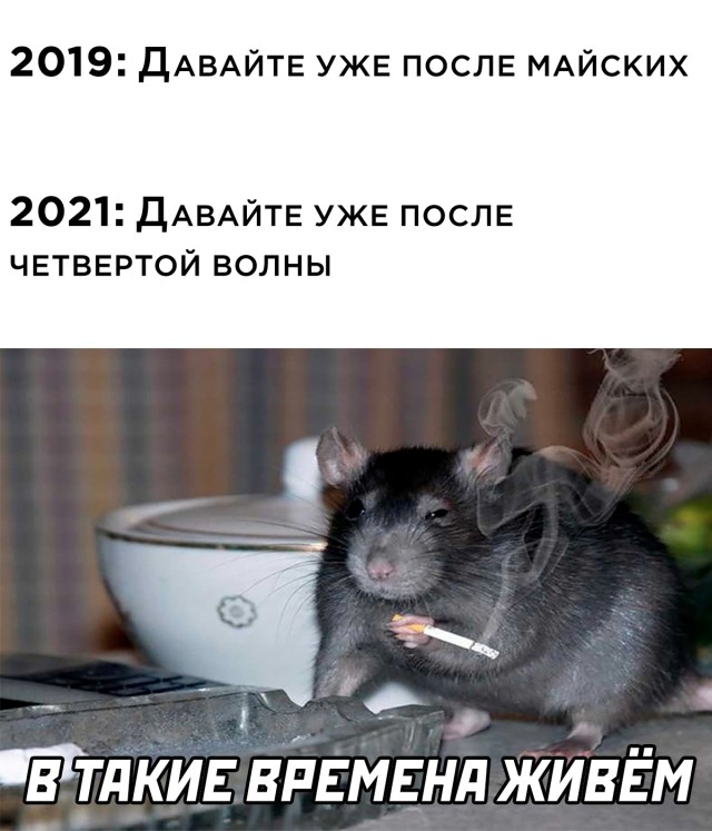 Смешные картинки вечер 15 октября 2021 года