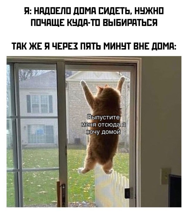 Смешные картинки вечер 15 октября 2021 года