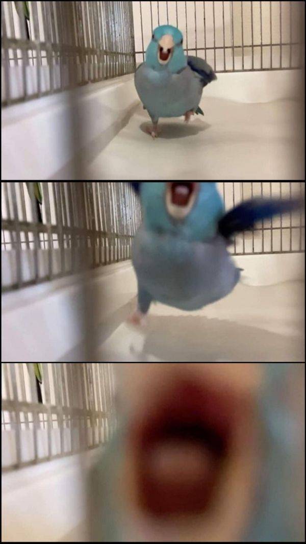 Смешные картинки вечер 15 октября 2021 года