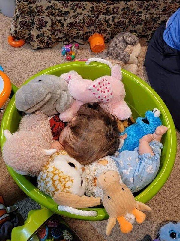 Смешные картинки вечер 15 октября 2021 года