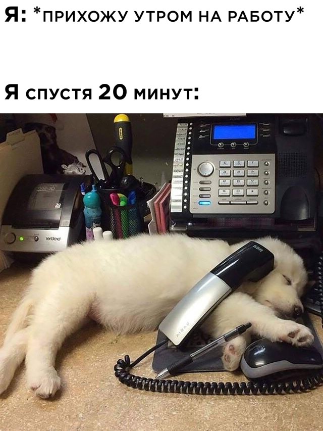 Смешные картинки вечер 15 октября 2021 года