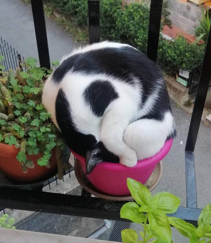 Смешные картинки вечер 15 октября 2021 года