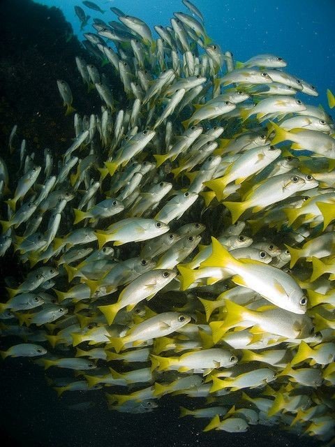 20 косяков, которые введут вас в транс