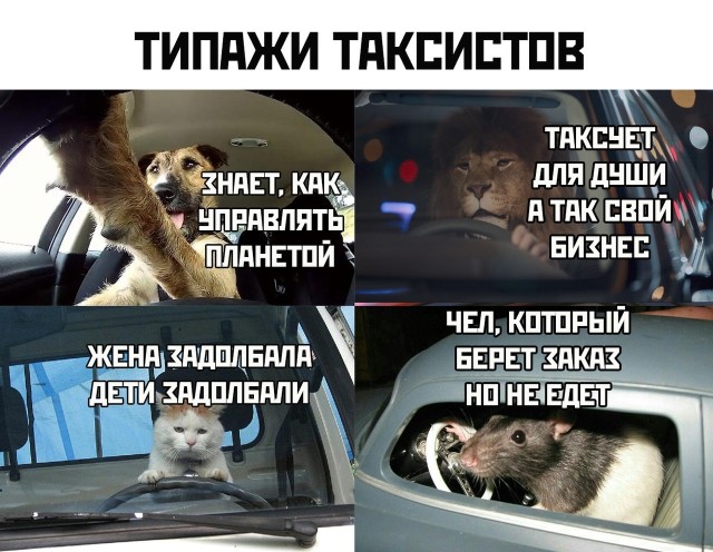 Смешные картинки 21 октября 2021 года