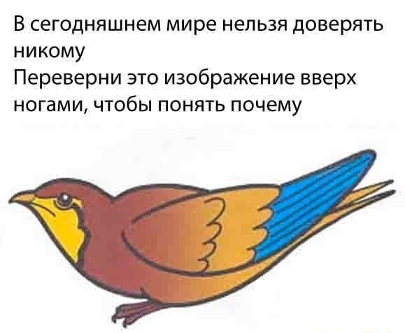 Картинки и мемы для настроения