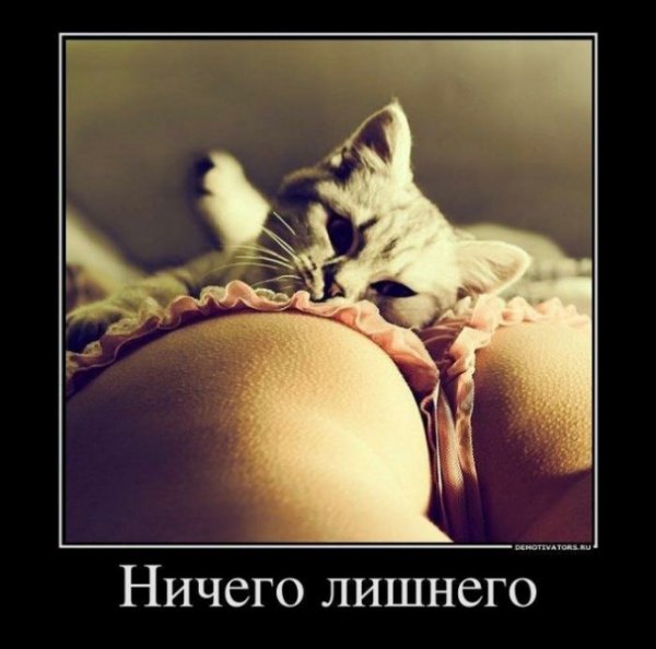 Картинки и мемы для настроения