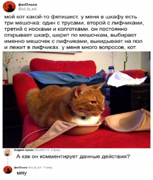 Картинки и мемы для настроения