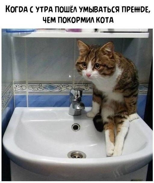 Картинки и мемы для настроения