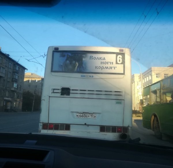Удивительные снимки с российских просторов