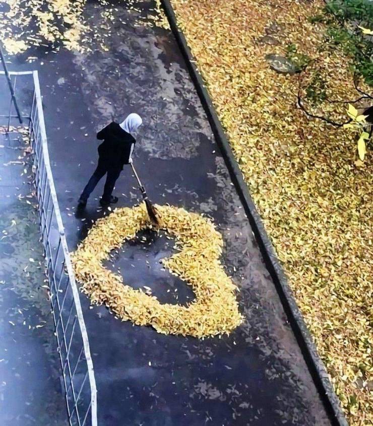 Смешные картинки 26 октября 2021 года