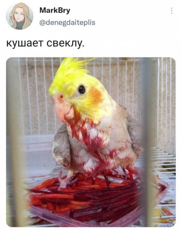 Скрины из соцсетей
