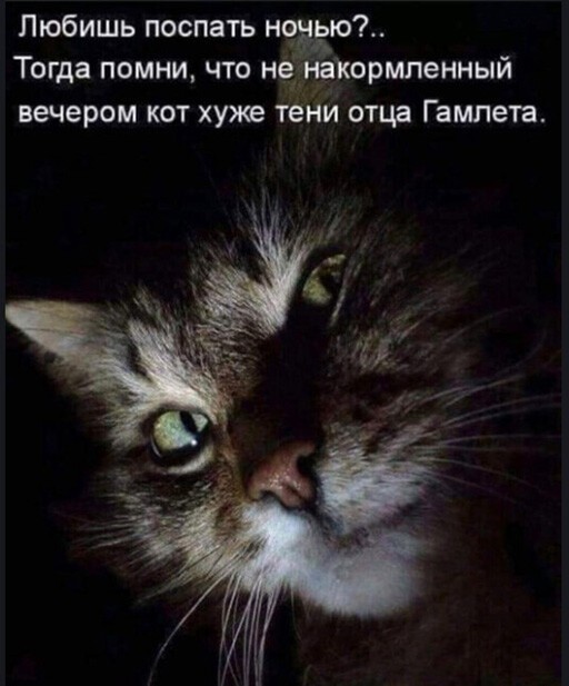 Смешные и познавательные картинки