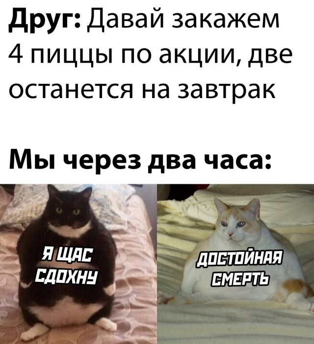 Смешные картинки 3 ноября 2021 года