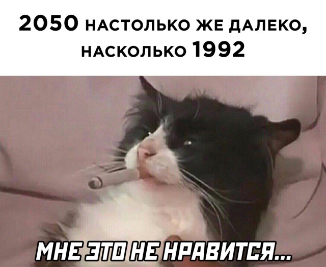 Смешные картинки 3 ноября 2021 года