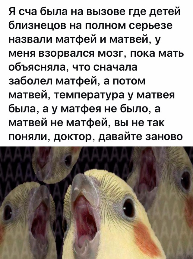 Смешные картинки 3 ноября 2021 года