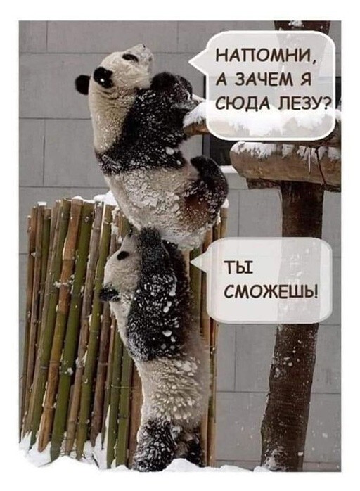 Смешные и познавательные картинки