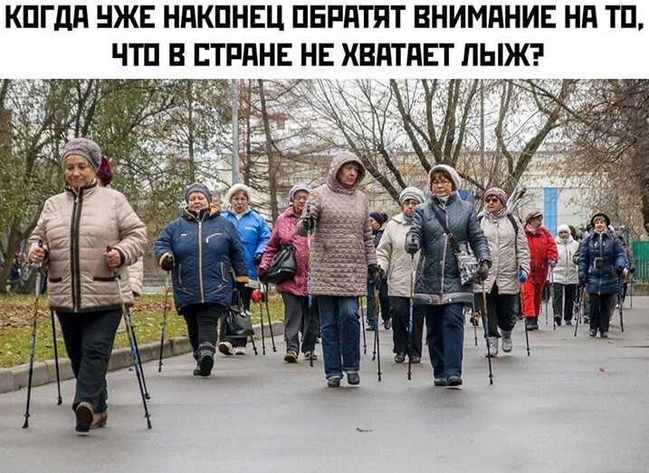 Смешные и познавательные картинки