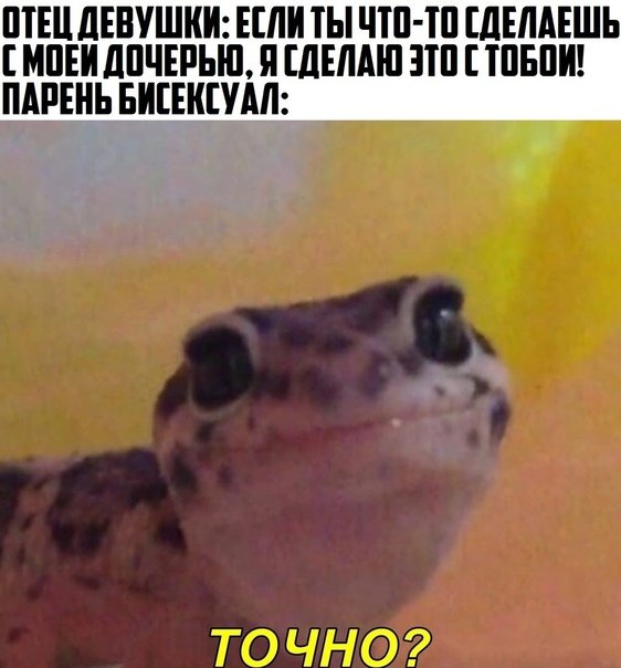 Весёлые