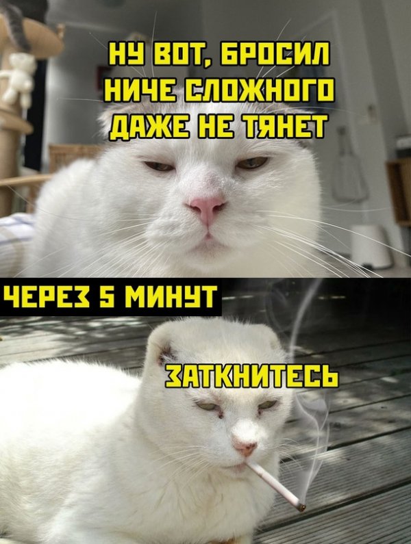 Весёлые