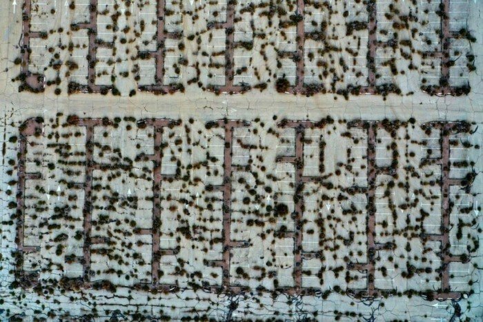 14 грустных фото о том, как исчезает Мертвое море